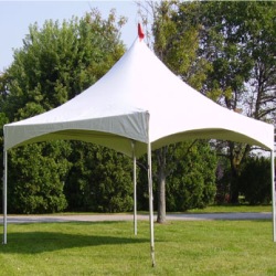 Pagoda Tents - Image 3